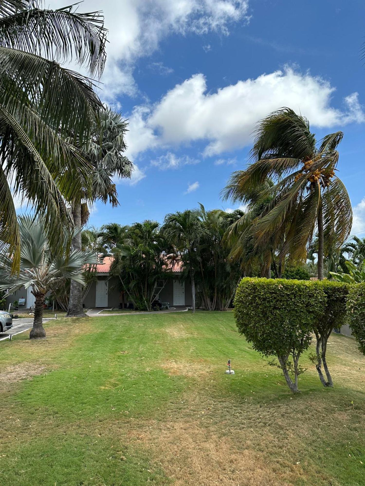 Windmill Apartments Curacao วิลเลมสตัด ภายนอก รูปภาพ