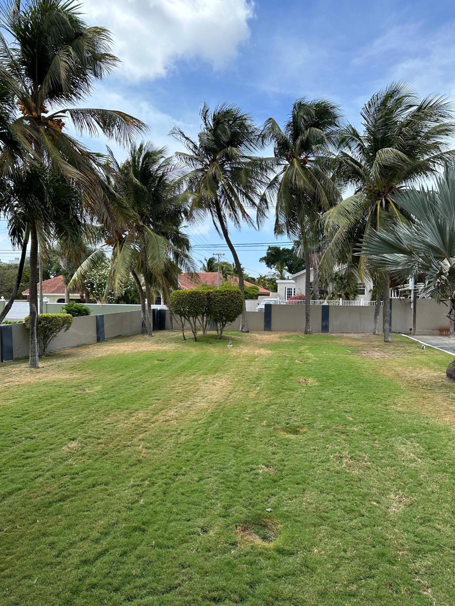 Windmill Apartments Curacao วิลเลมสตัด ภายนอก รูปภาพ